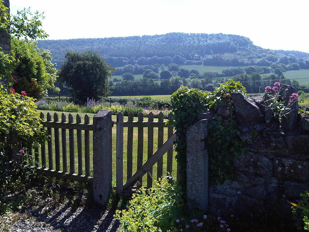 Upper Letton Farm Acomodação com café da manhã Leintwardine Exterior foto